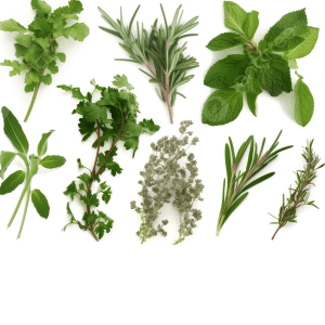 اعشاب Herbs