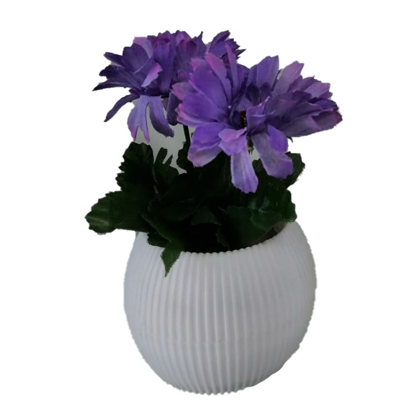 plants-0004 - مؤسسة العبقري الصغير للتجارة الالكترونية