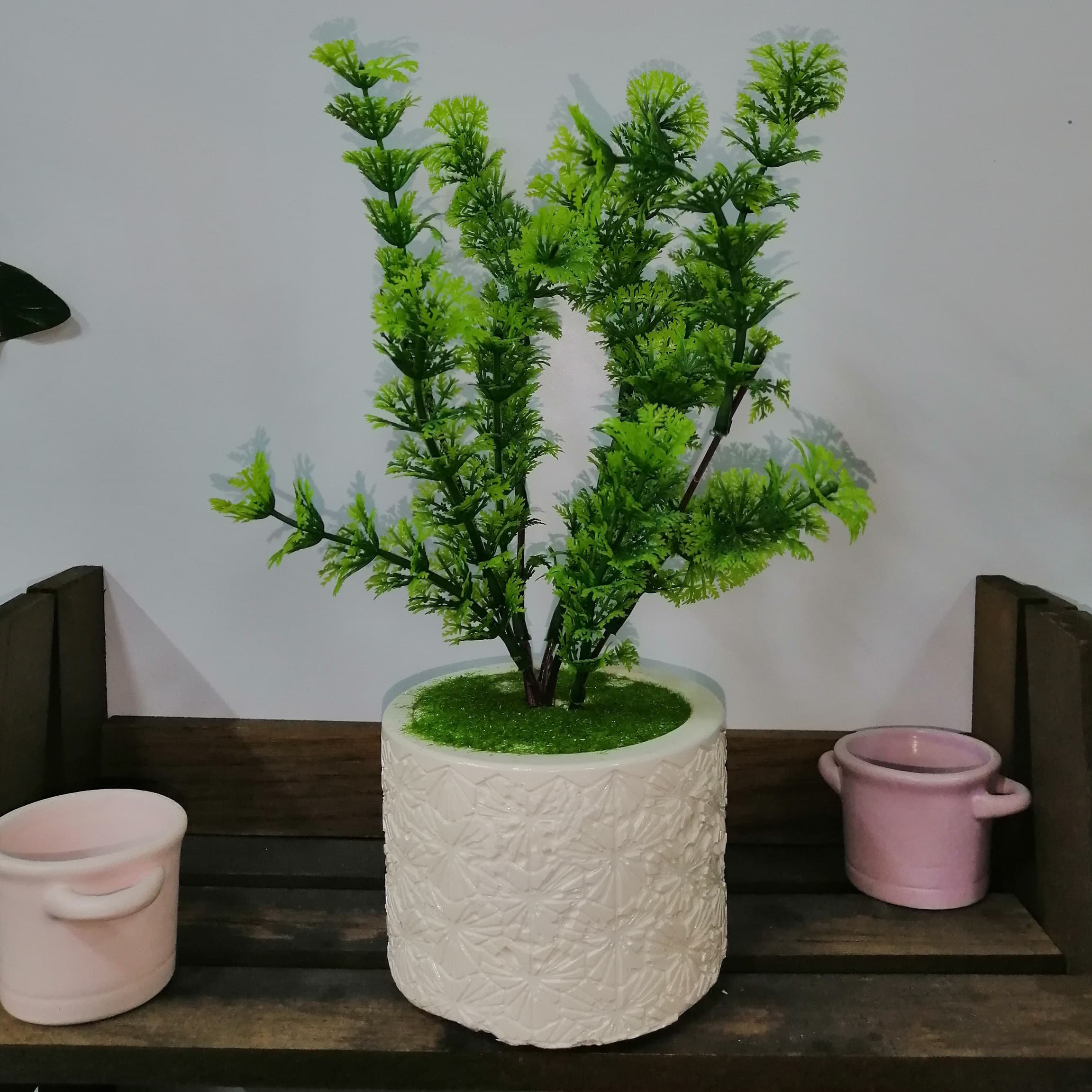 plants-0026 - مؤسسة العبقري الصغير للتجارة الالكترونية