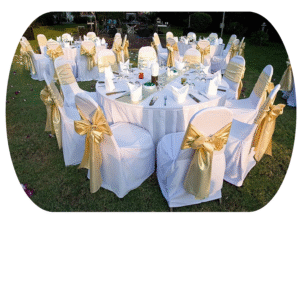 حفلات دراي كلين Dry Clean Parties