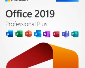 Microsoft Office 2019 Professional Plus software cover with Windows 10/11 badge and colorful app icons.